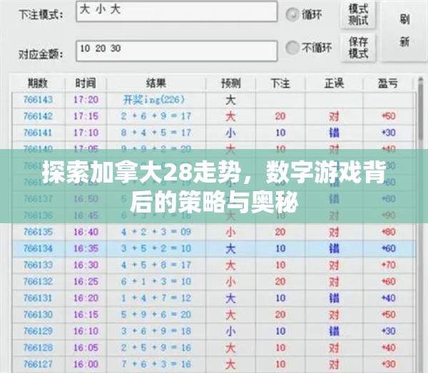 探索加拿大28走势，数字游戏背后的策略与奥秘