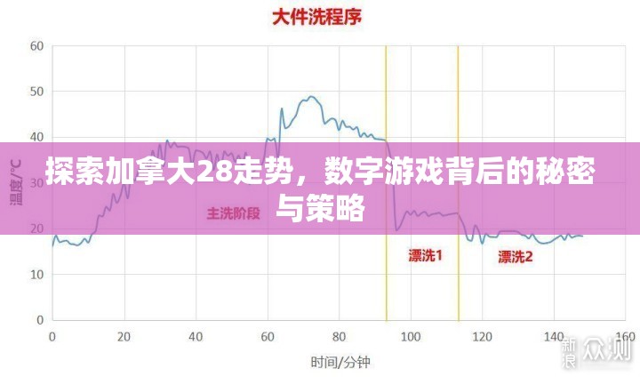 探索加拿大28走势，数字游戏背后的秘密与策略