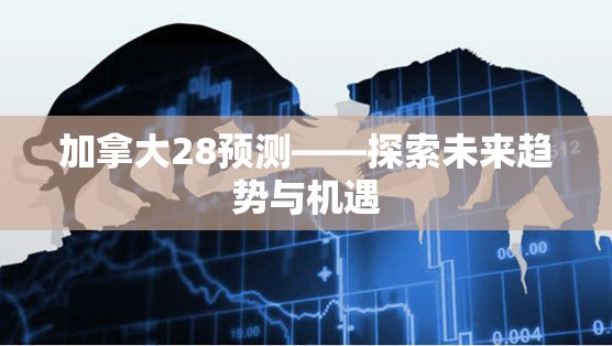 加拿大28预测——探索未来趋势与机遇