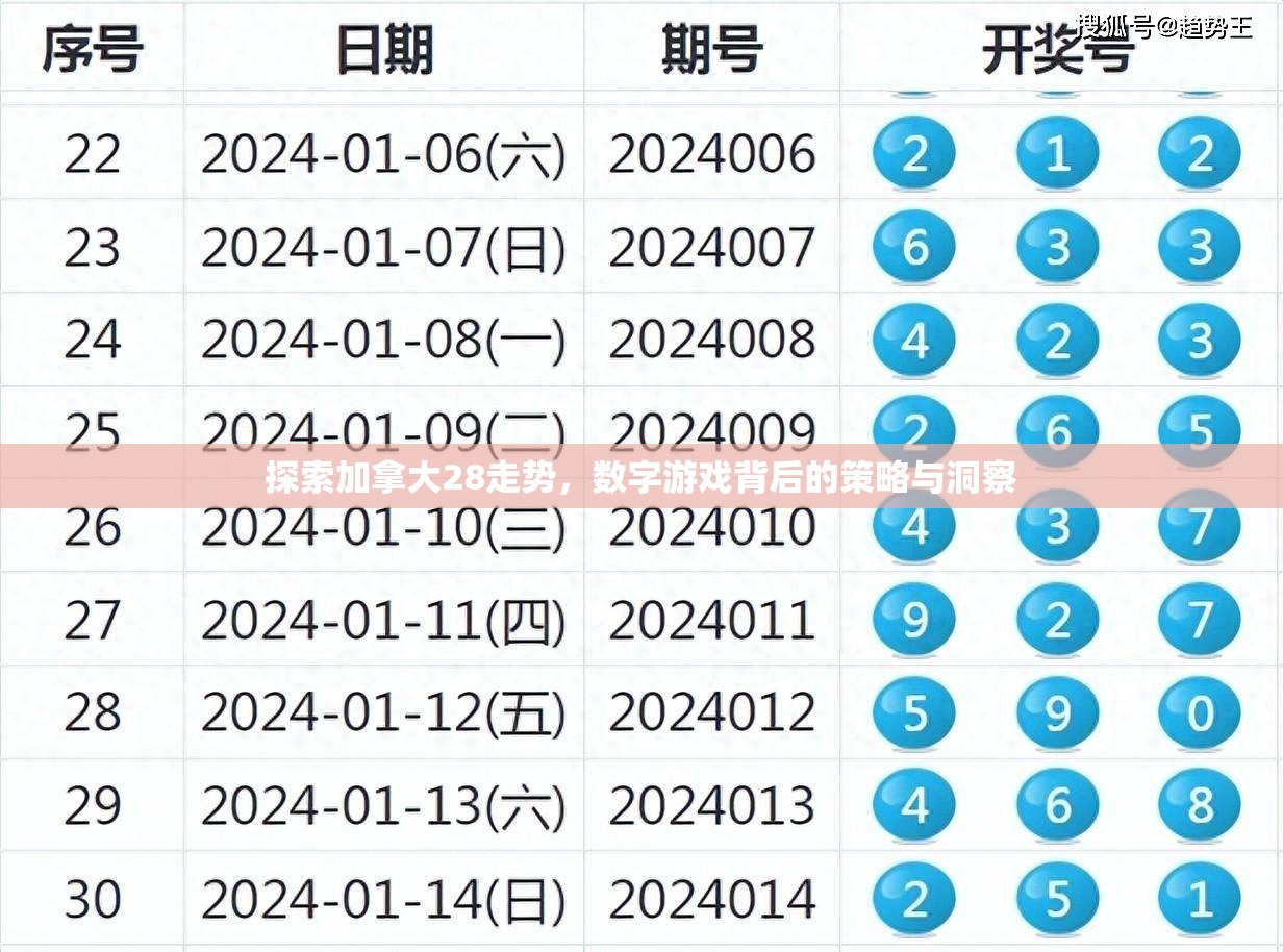 探索加拿大28走势，数字游戏背后的策略与洞察