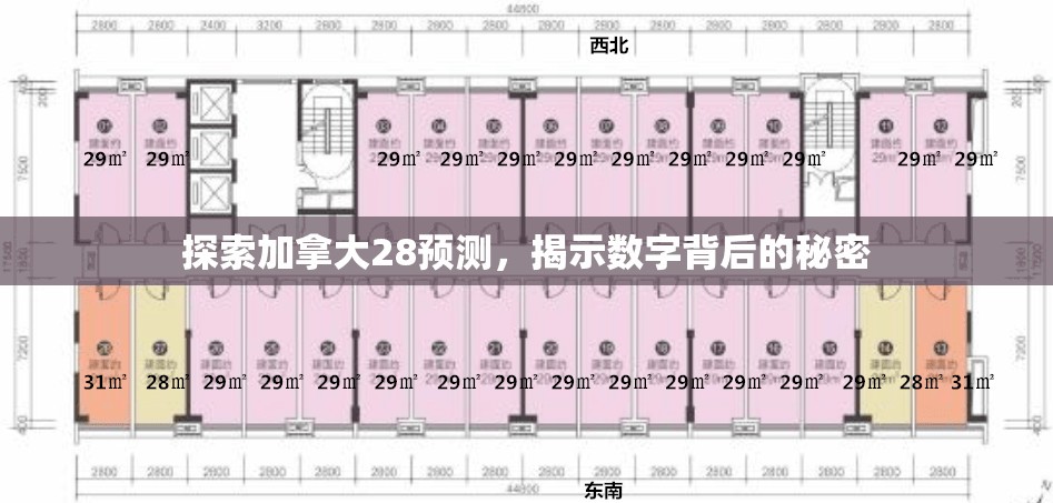 探索加拿大28预测，揭示数字背后的秘密