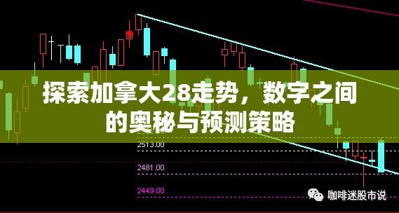 探索加拿大28走势，数字之间的奥秘与预测策略