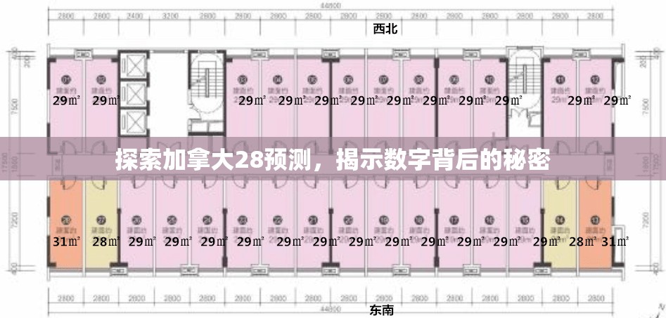 探索加拿大28预测，揭示数字背后的秘密