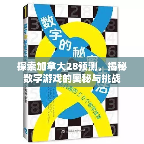 探索加拿大28预测，揭秘数字游戏的奥秘与挑战