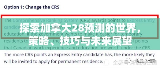 探索加拿大28预测的世界，策略、技巧与未来展望