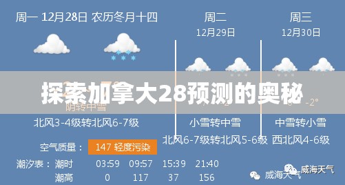 探索加拿大28预测的奥秘