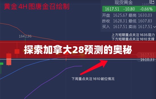 探索加拿大28预测的奥秘