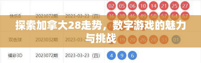 探索加拿大28走势，数字游戏的魅力与挑战