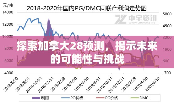 探索加拿大28预测，揭示未来的可能性与挑战