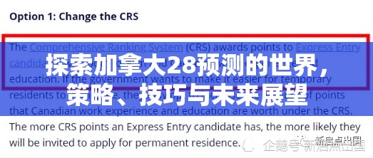 探索加拿大28预测的世界，策略、技巧与未来展望