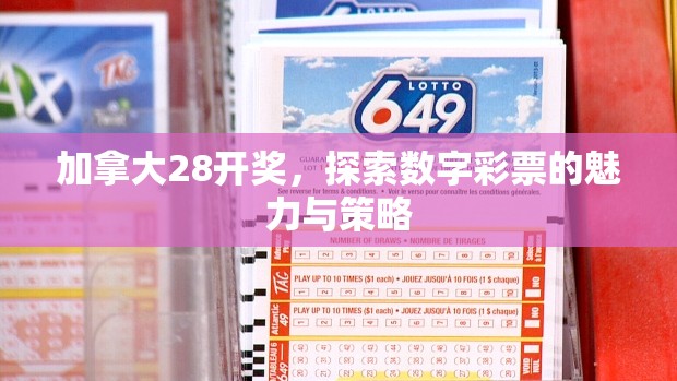 加拿大28开奖，探索数字彩票的魅力与策略