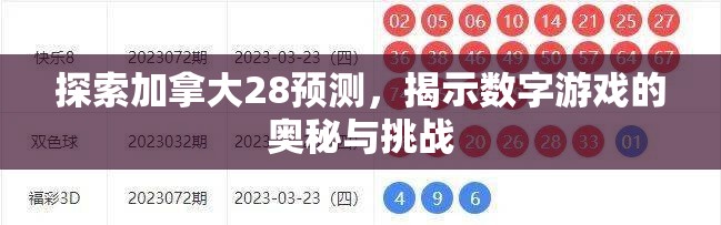 探索加拿大28预测，揭示数字游戏的奥秘与挑战