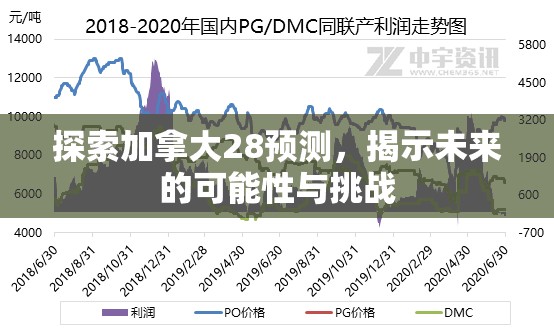 探索加拿大28预测，揭示未来的可能性与挑战