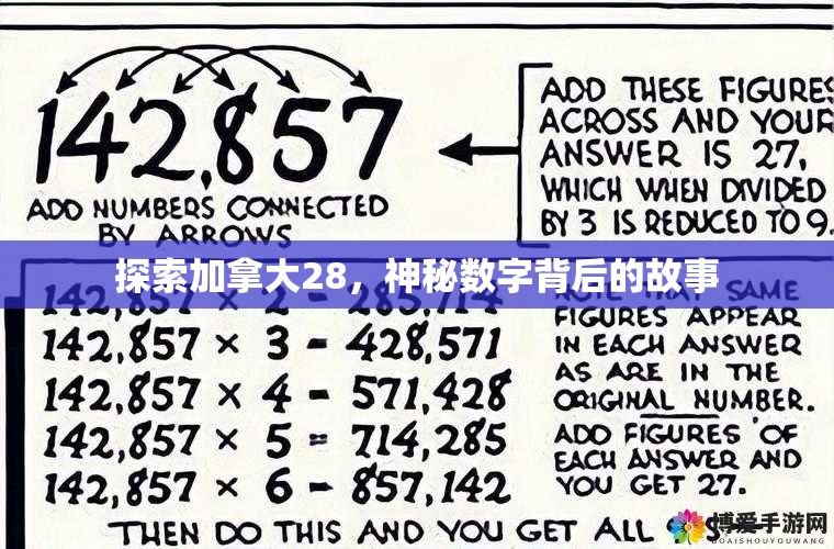 探索加拿大28，神秘数字背后的故事