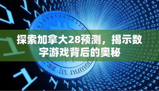 探索加拿大28预测，揭示数字游戏背后的奥秘