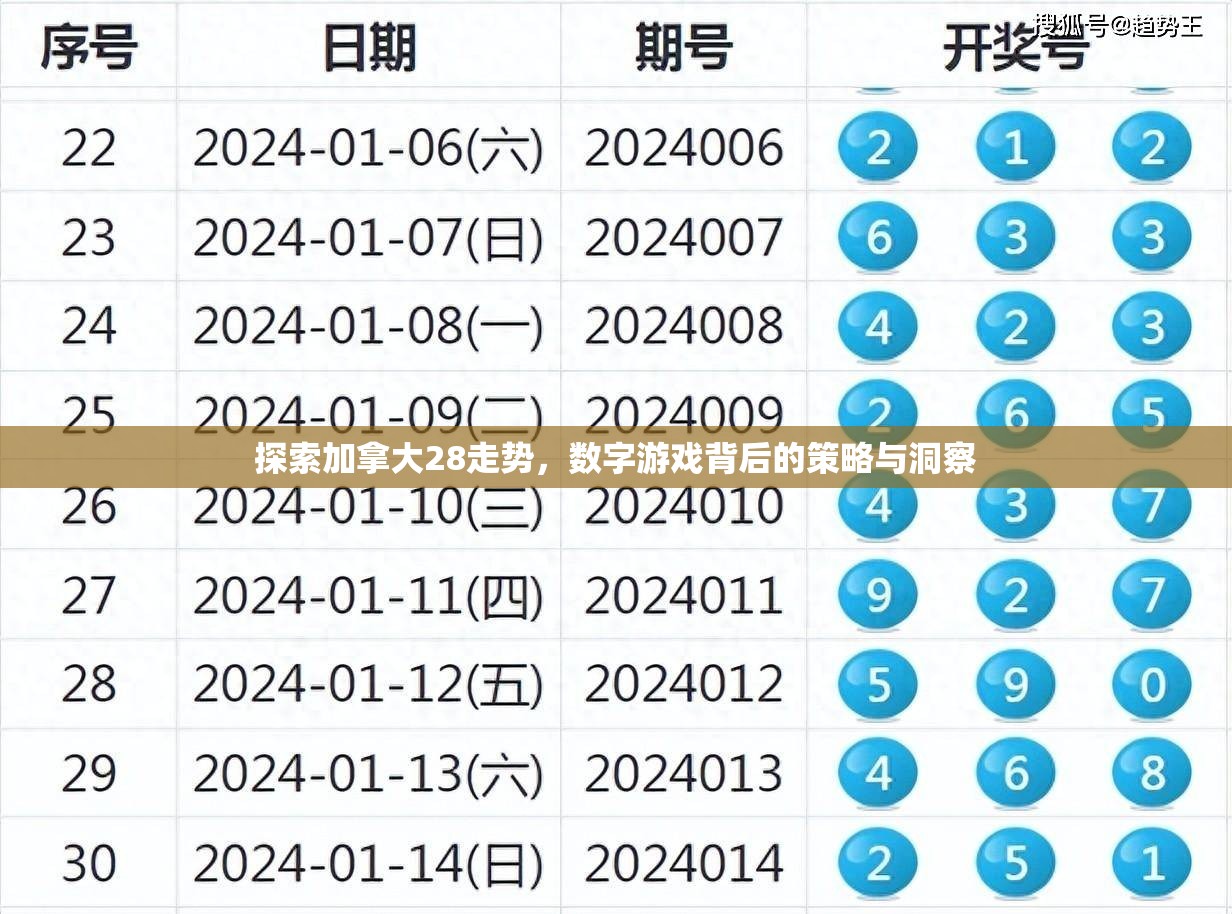 探索加拿大28走势，数字游戏背后的策略与洞察