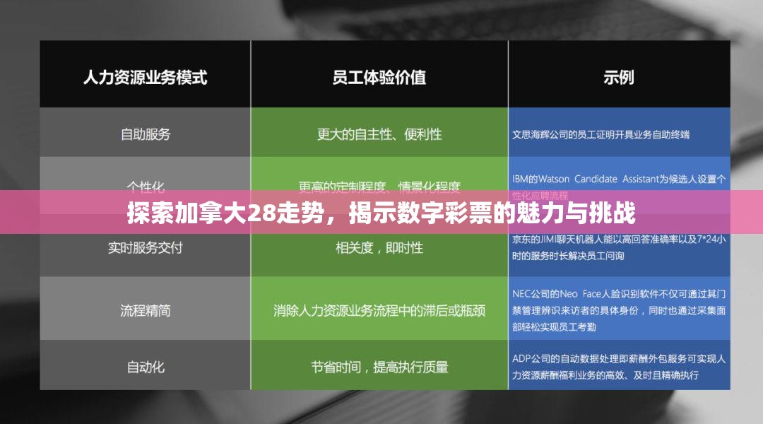 探索加拿大28走势，揭示数字彩票的魅力与挑战