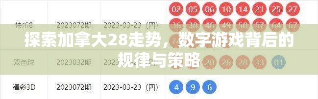 探索加拿大28走势，数字游戏背后的规律与策略