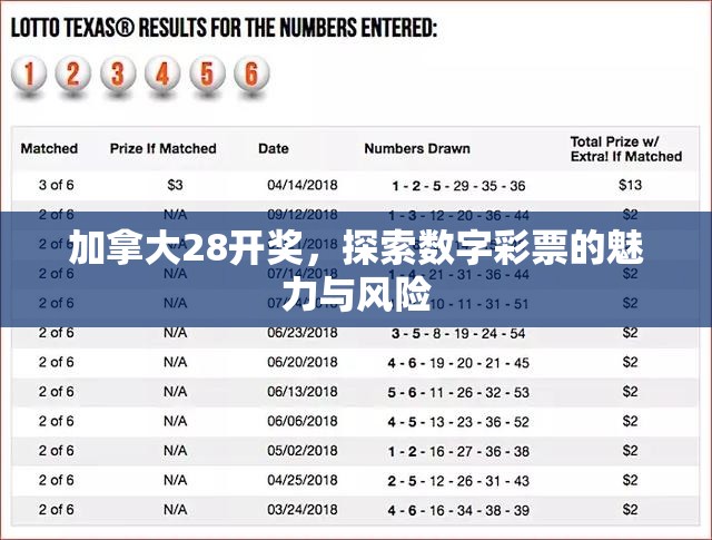 加拿大28开奖，探索数字彩票的魅力与风险