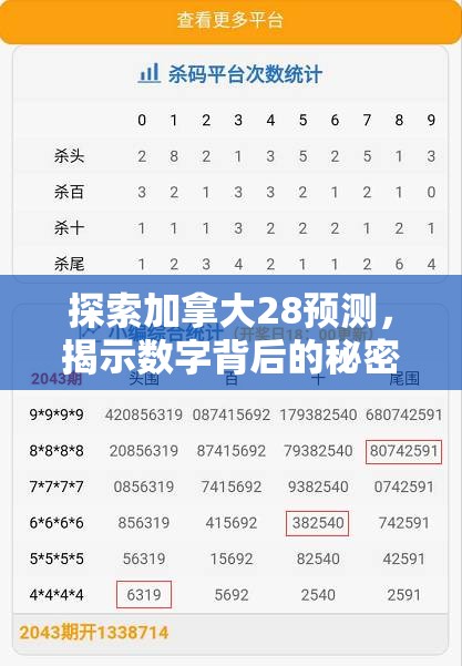 探索加拿大28预测，揭示数字背后的秘密策略