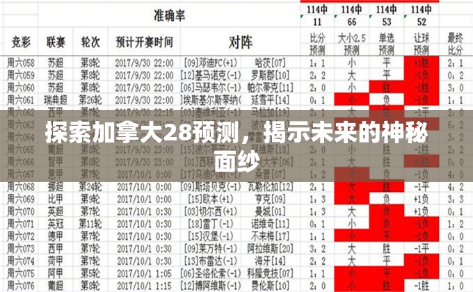 探索加拿大28预测，揭示未来的神秘面纱