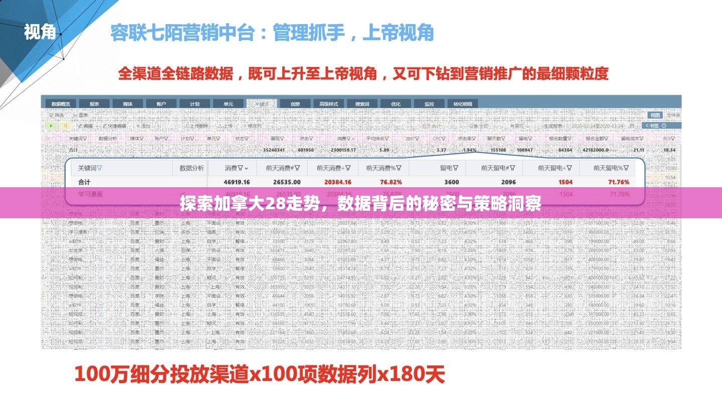 探索加拿大28走势，数据背后的秘密与策略洞察