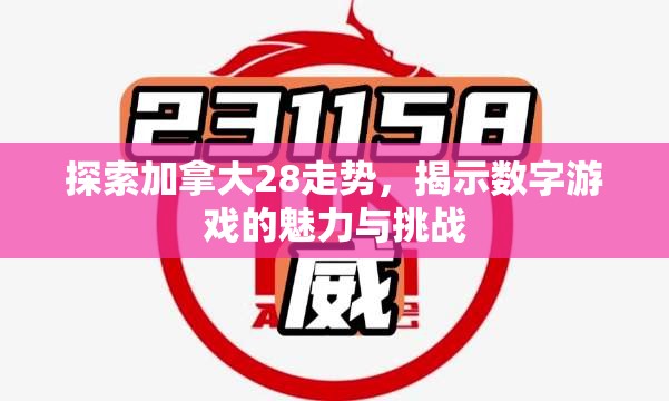 探索加拿大28走势，揭示数字游戏的魅力与挑战