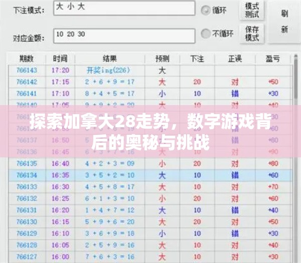 探索加拿大28走势，数字游戏背后的奥秘与挑战