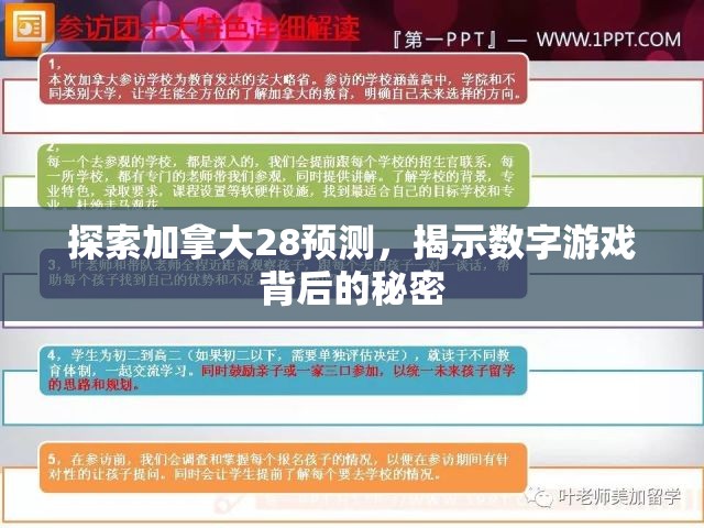 探索加拿大28预测，揭示数字游戏背后的秘密