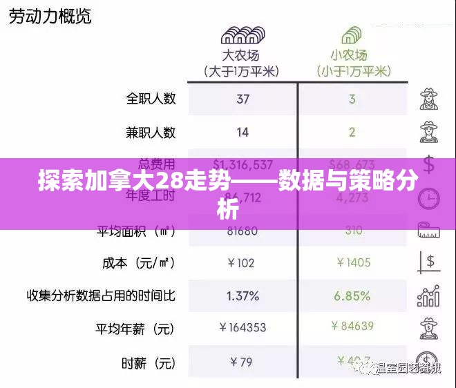 探索加拿大28走势——数据与策略分析