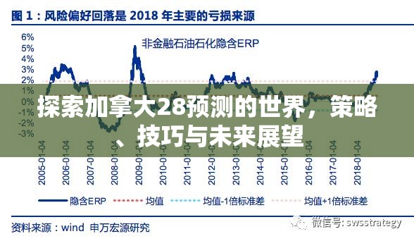 探索加拿大28预测的世界，策略、技巧与未来展望