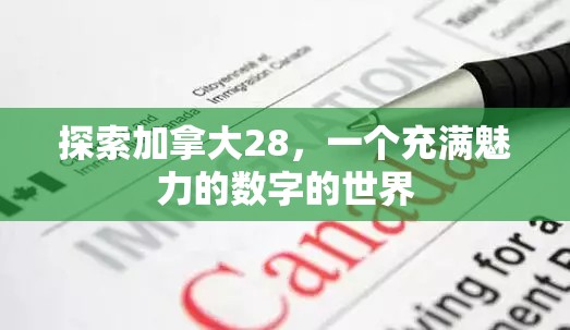 探索加拿大28，一个充满魅力的数字的世界