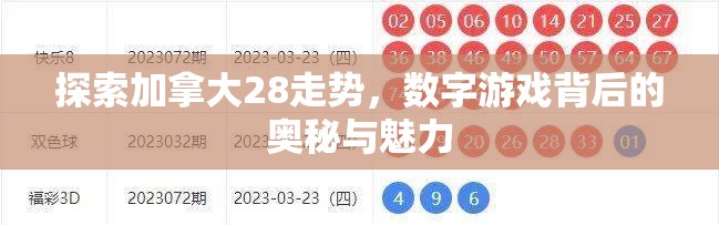 探索加拿大28走势，数字游戏背后的奥秘与魅力