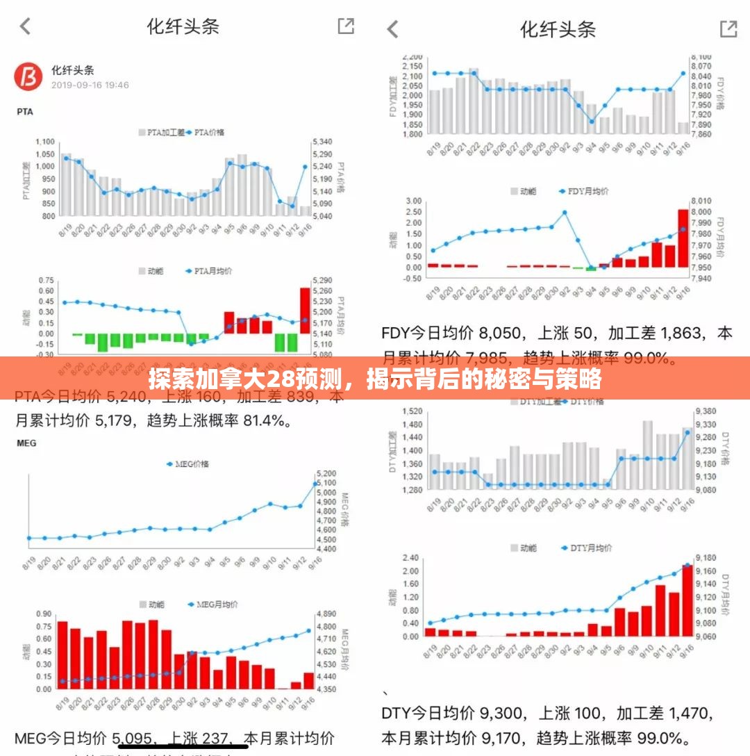 探索加拿大28，神秘与魅力的交汇点