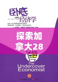 探索加拿大28预测，揭示背后的秘密与策略