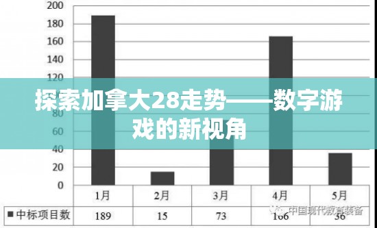 探索加拿大28走势——数字游戏的新视角