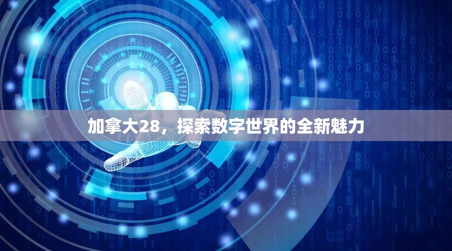 加拿大28，探索数字世界的全新魅力