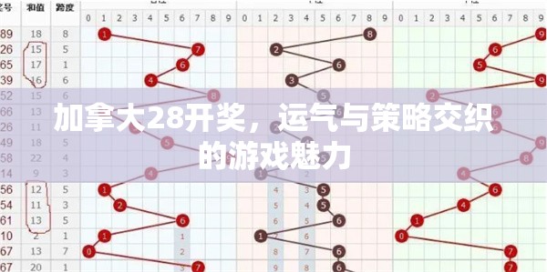 加拿大28开奖，运气与策略交织的游戏魅力