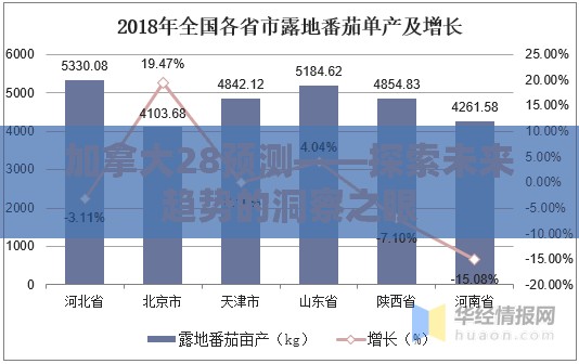 加拿大28预测——探索未来趋势的洞察之眼