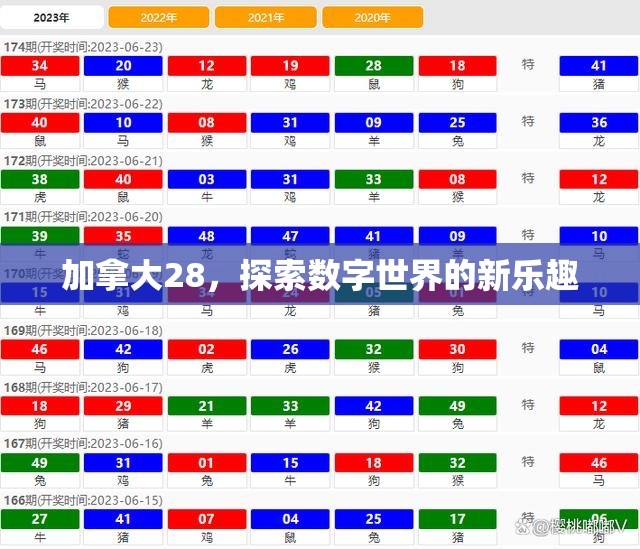 加拿大28，探索数字世界的新乐趣