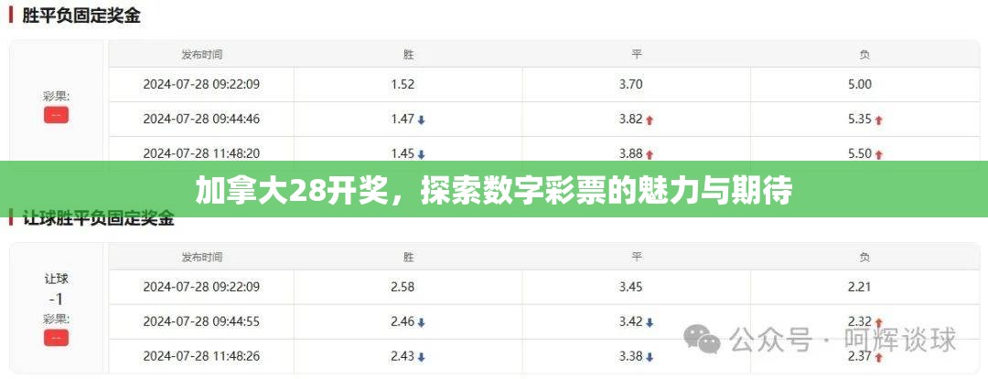 加拿大28开奖，探索数字彩票的魅力与期待