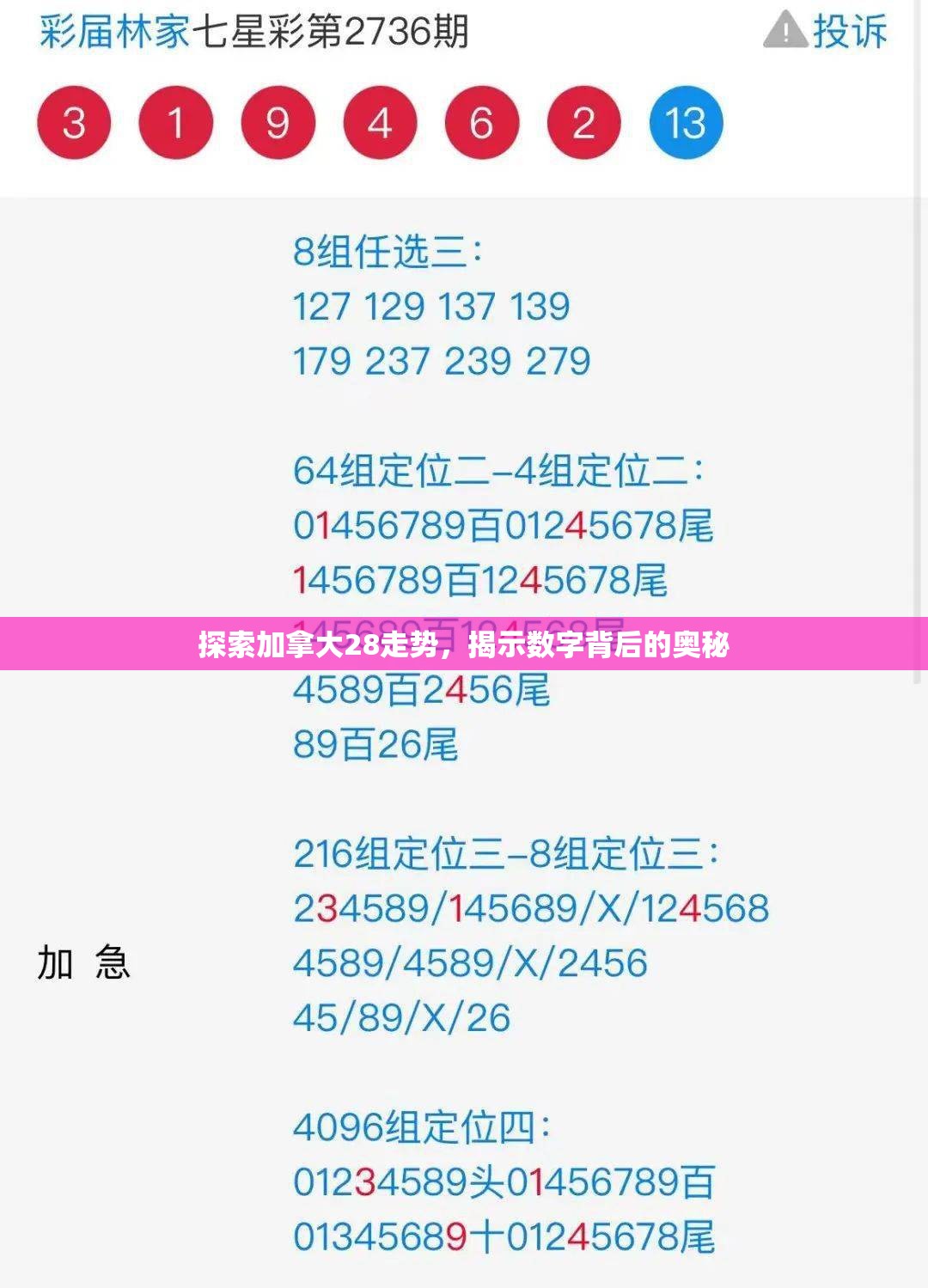 探索加拿大28走势，揭示数字背后的奥秘