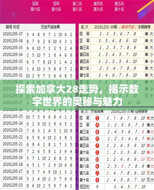 探索加拿大28走势，揭示数字世界的奥秘与魅力