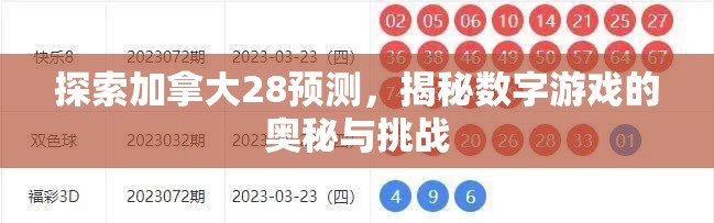 探索加拿大28预测，揭秘数字游戏的奥秘与挑战