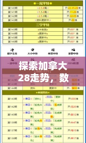 探索加拿大28走势，数字游戏背后的秘密与策略