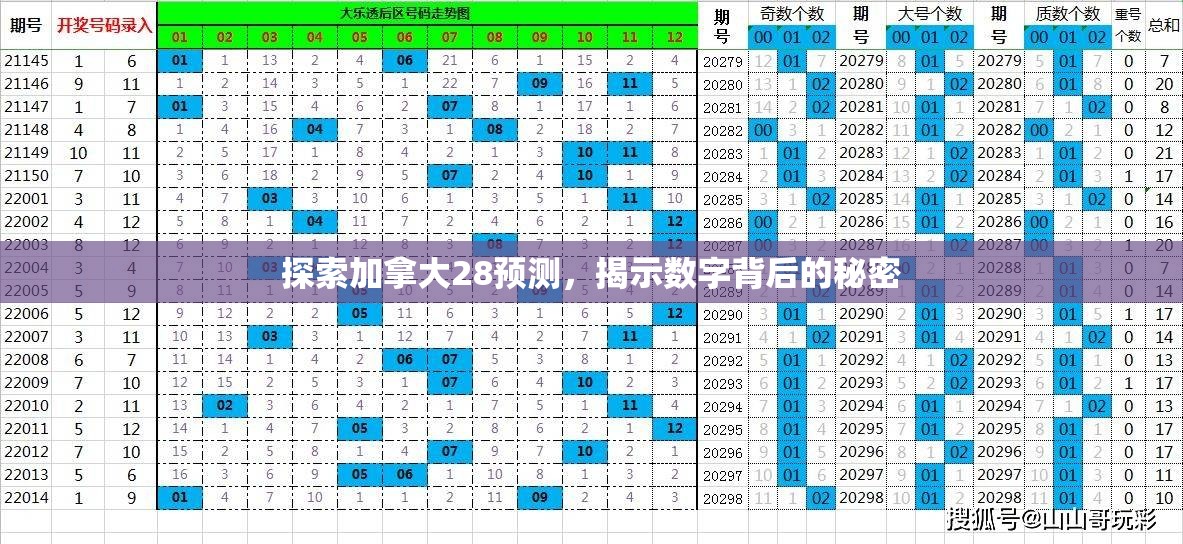 探索加拿大28预测，揭示数字背后的秘密