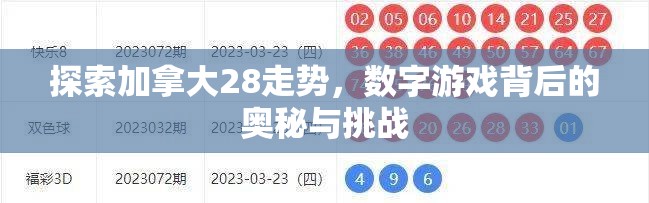 探索加拿大28走势，数字游戏背后的奥秘与挑战