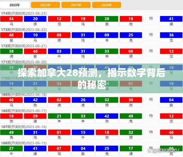 探索加拿大28预测，揭示数字背后的秘密