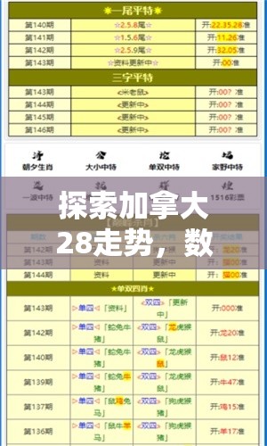 探索加拿大28走势，数字游戏背后的奥秘与挑战