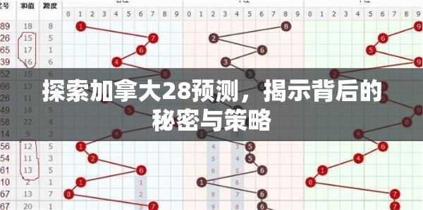 探索加拿大28预测，揭示背后的秘密与策略